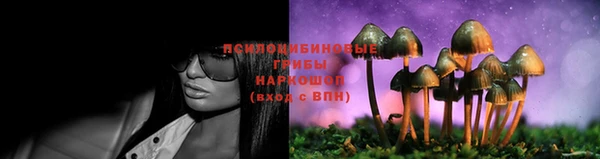 гидра Баксан