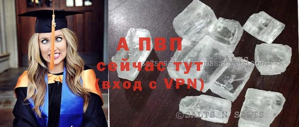 гидра Баксан