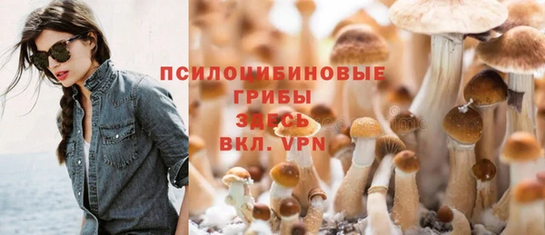 эйфоретик Балахна
