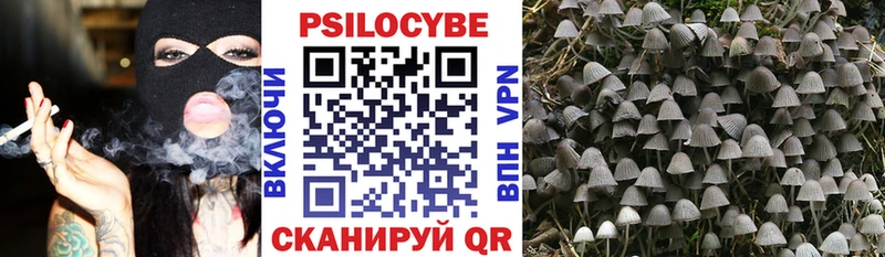 Галлюциногенные грибы Magic Shrooms  Куровское 